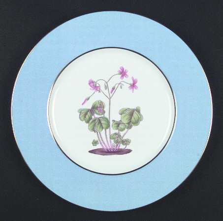 Y6285 by Spode