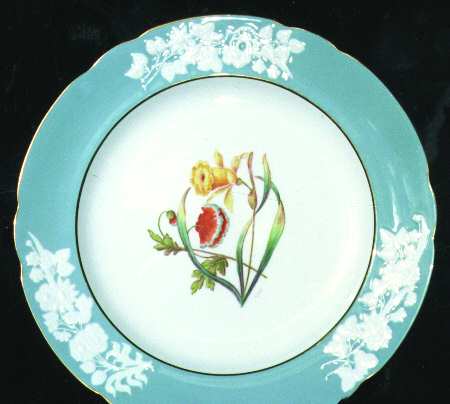 Y6614 Dinner Plate