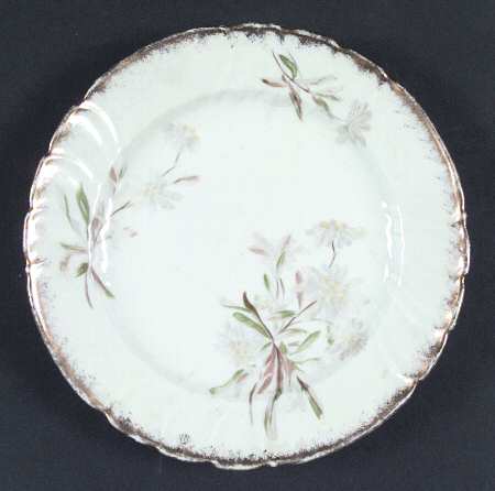 SIP1 Salad Plate