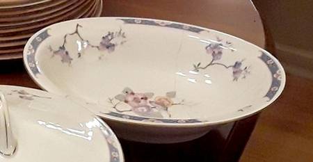 SCD25 9" Oval Vegetable Bowl