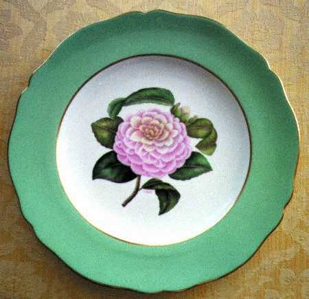 Camelia by Spode