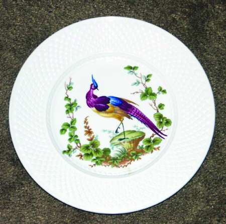 SP134 by Spode