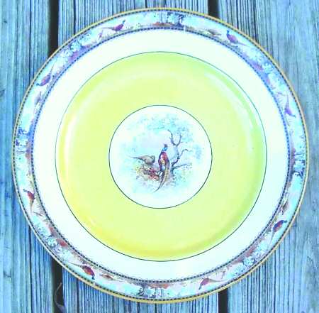 SWI23 Dinner Plate