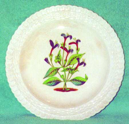 Tobacco Plants Centres by Spode