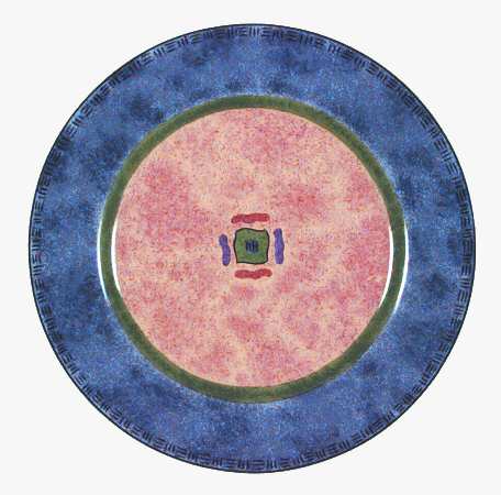 Karma Salad Plate