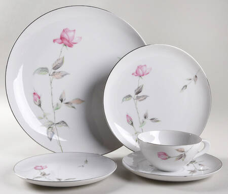 Dawn Rose 5 Piece Place Setting