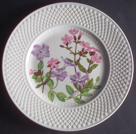 SP160 by Spode