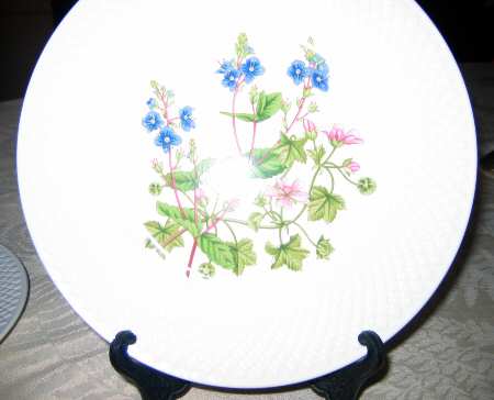 SP160 Luncheon Plate