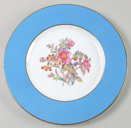Y6169 Dinner Plate