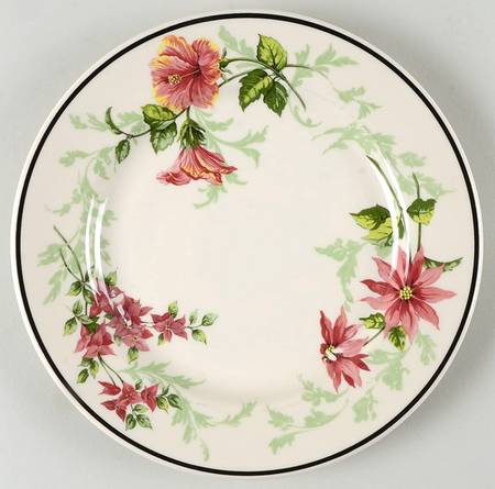 Flora of The South by Syracuse