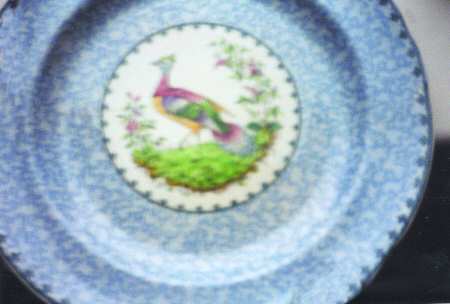 SP169 by Spode