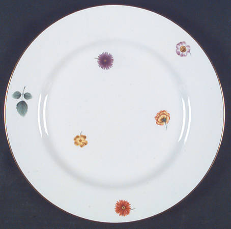 Astor by Spode