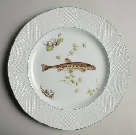 SIM9 Dinner Plate