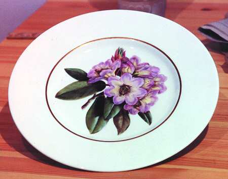 Y6711 by Spode
