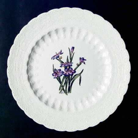 Bermuda Flowers by Spode