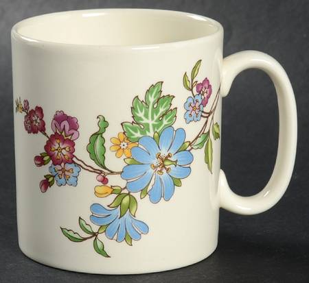 SP189 Mug