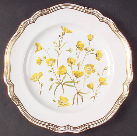 Buttercup by Spode