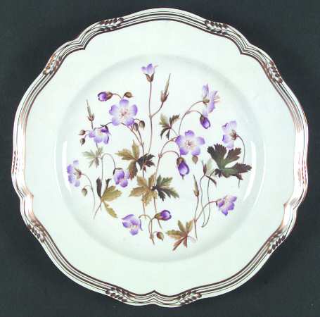 Meadow Cranesbill by Spode