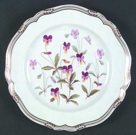 Viola by Spode
