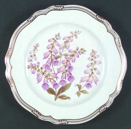 Foxglove by Spode