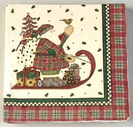 Sledding Characters Package of Paper Luncheon Napkins
