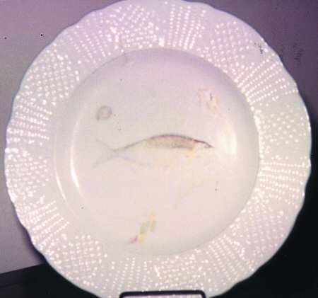 SIM13 Dinner Plate