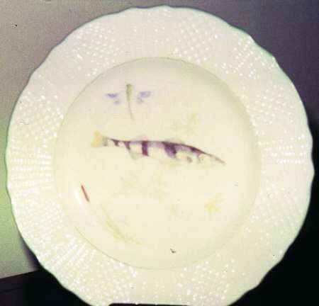 SIM13 Dinner Plate