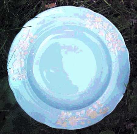 R9883 by Spode