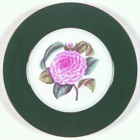 Camelia by Spode