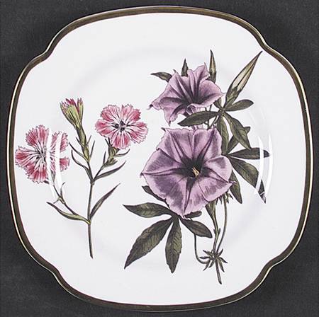 Burgess Botanical Square Salad Plate by Spode