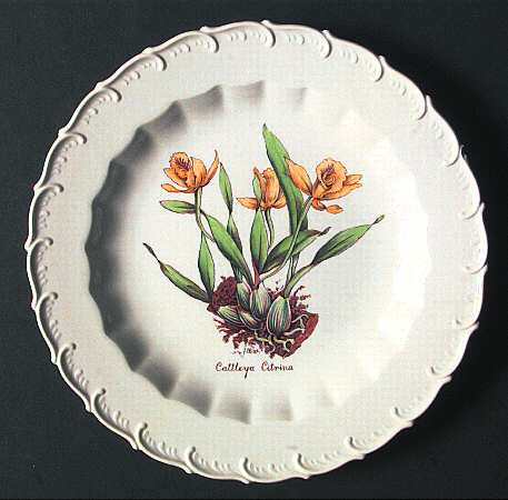 S-3239 by Spode