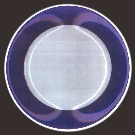 SNM9 Dinner Plate