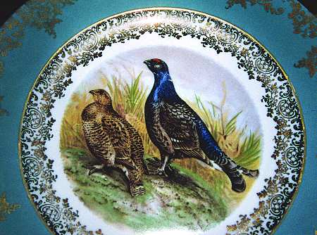SBV1 Dinner Plate