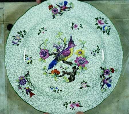 Camella Dinner Plate