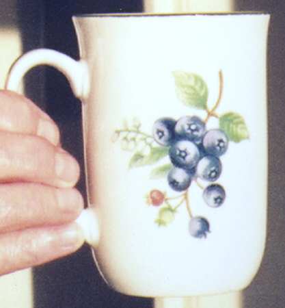 SCP2 Mug