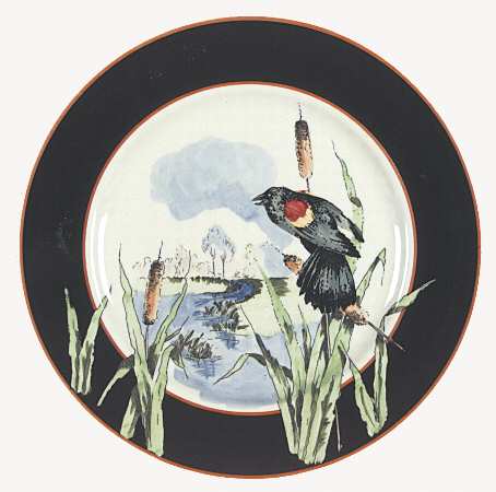 Nature Study Birds by Syracuse