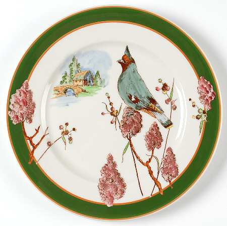 Nature Study Birds Dinner Plate