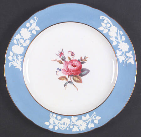 R8238 by Spode