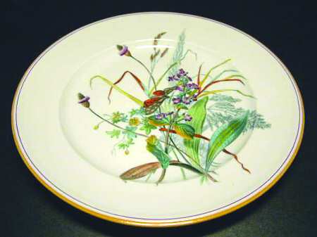D9061 by Spode