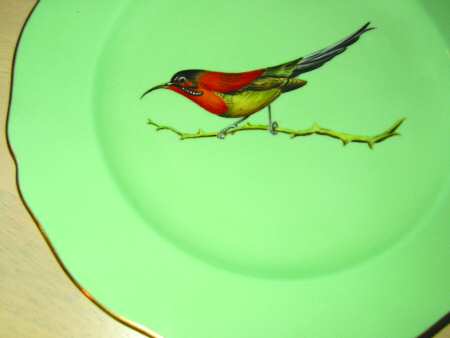 Y5857 by Spode