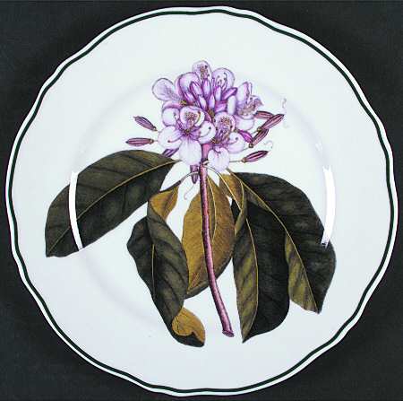 Catesby Dinner Plate