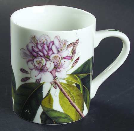 Catesby Mug