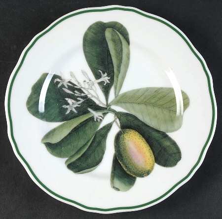 Catesby Salad/Dessert Plate