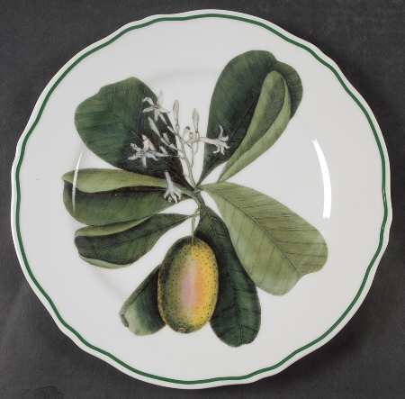 Catesby Dinner Plate
