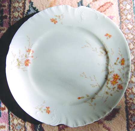 SAZ9 Dinner Plate