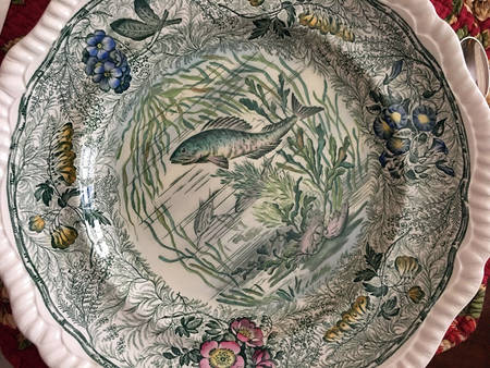 SP251 by Spode