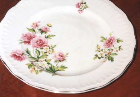SWI135 Dinner Plate