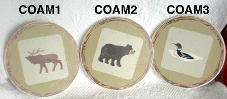 Lodge Coaster