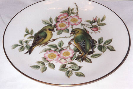 SP273 Dinner Plate