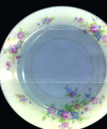 SUJ1 Dinner Plate